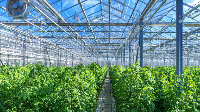 Simulating Agricultural Climate Change using Controlled Growth Chambers
